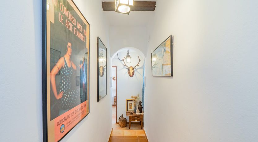 Photo of Olive Echoes