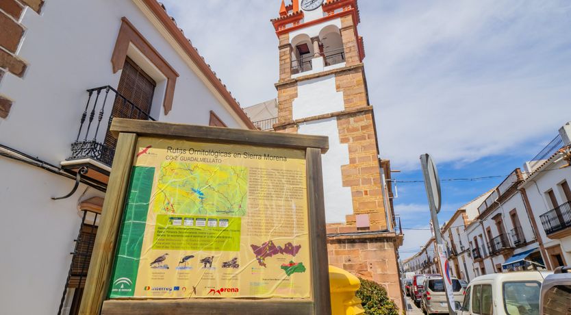 Photo of Olive Echoes