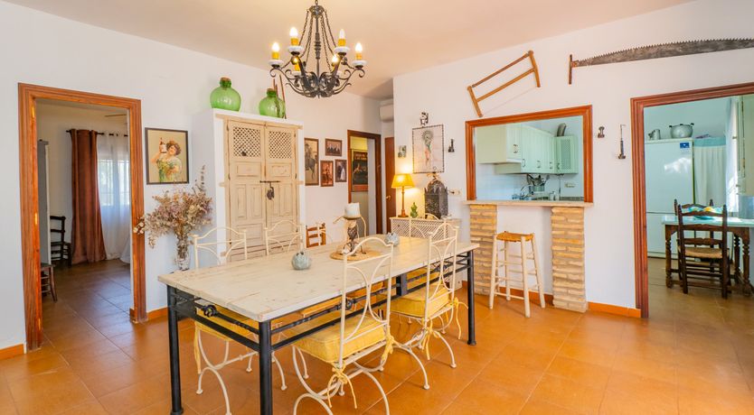 Photo of Olive Echoes