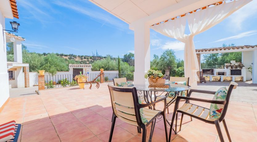 Photo of Olive Echoes