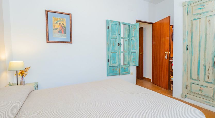 Photo of Olive Echoes