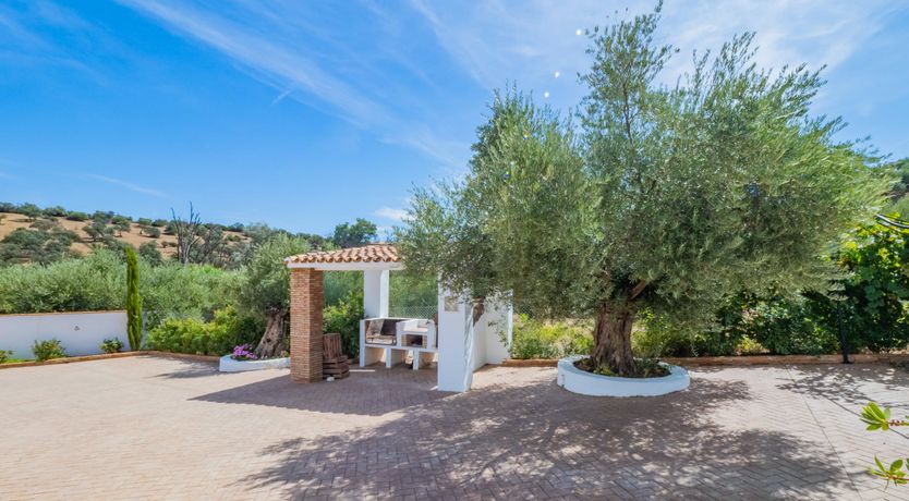 Photo of Olive Echoes