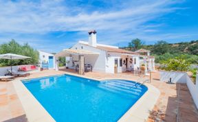 Photo of Olive Echoes