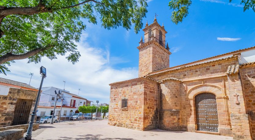 Photo of Olive Echoes