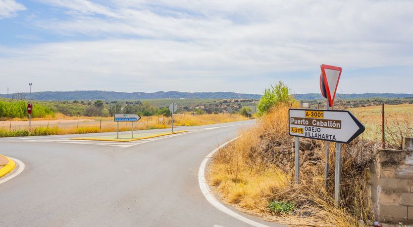 Photo of Olive Echoes