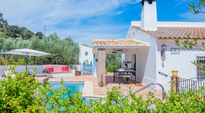 Photo of Olive Echoes