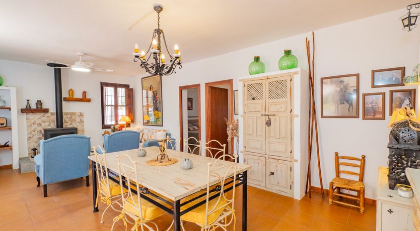 Photo of Olive Echoes