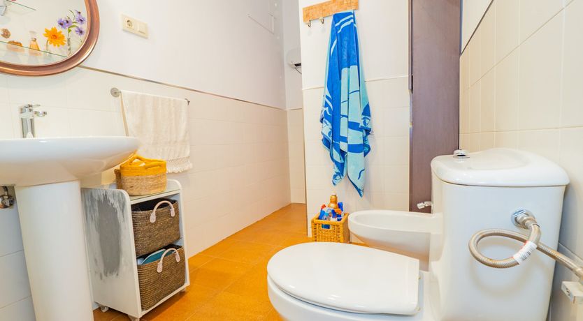 Photo of Olive Echoes