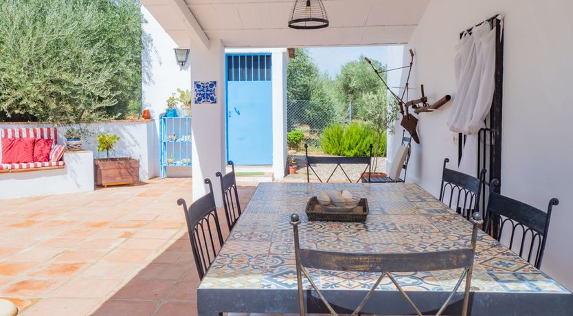 Photo of Olive Echoes