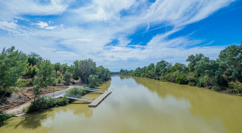 Photo of Olive Echoes