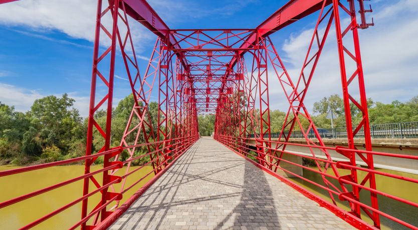 Photo of Olive Echoes