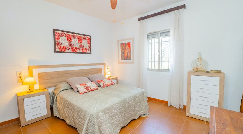 Photo of Olive Echoes