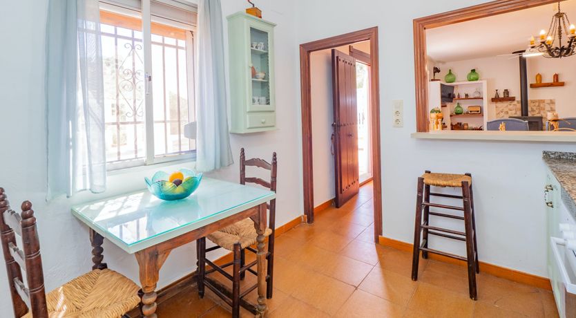 Photo of Olive Echoes