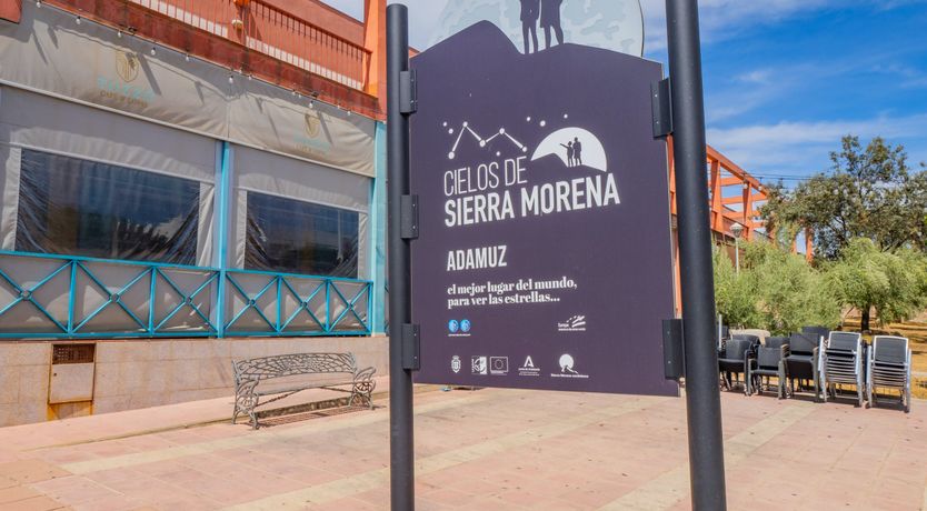 Photo of Olive Echoes