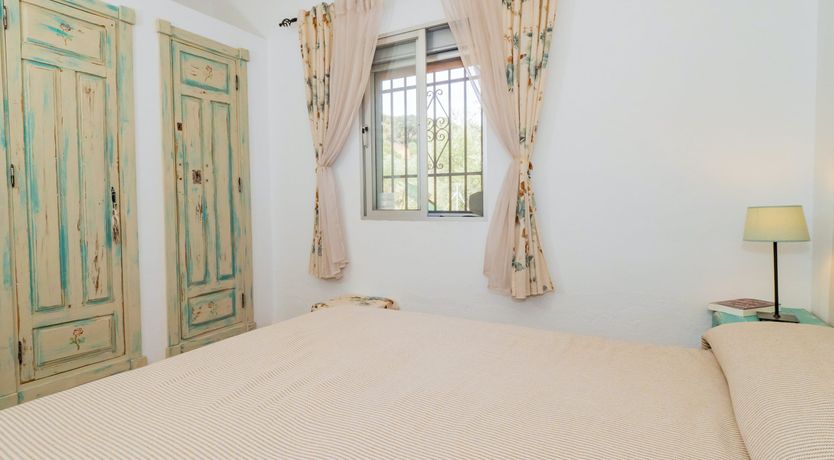 Photo of Olive Echoes