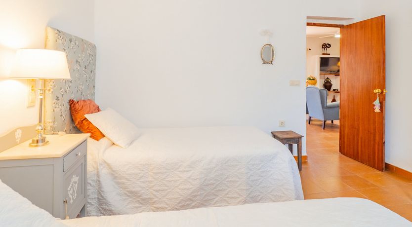 Photo of Olive Echoes