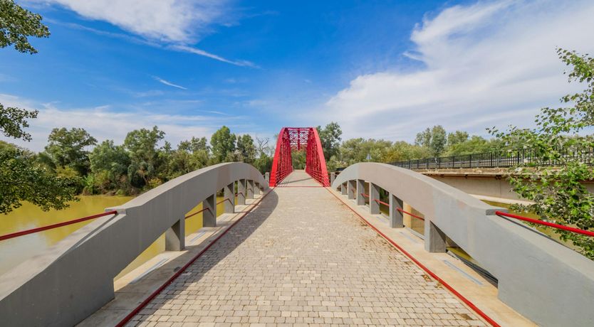 Photo of Olive Echoes