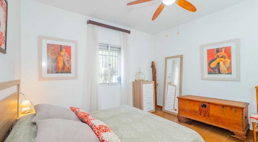 Photo of Olive Echoes