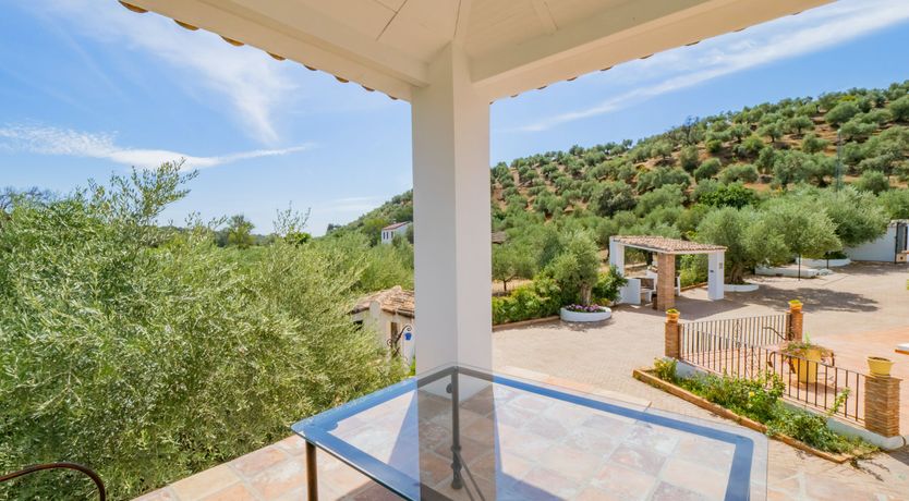 Photo of Olive Echoes