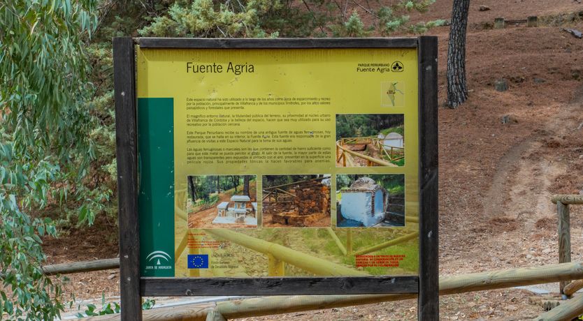 Photo of Olive Echoes