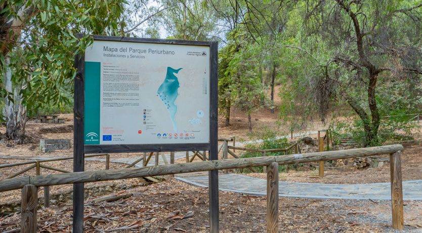 Photo of Olive Echoes