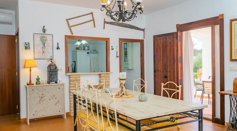 Photo of Olive Echoes