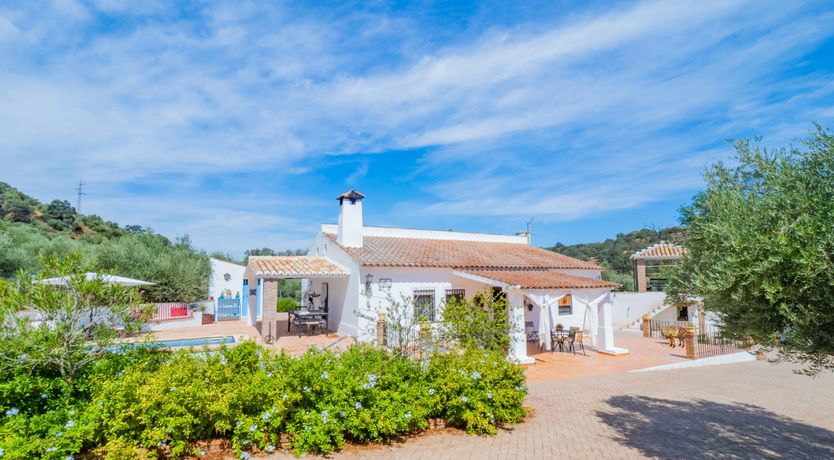 Photo of Olive Echoes