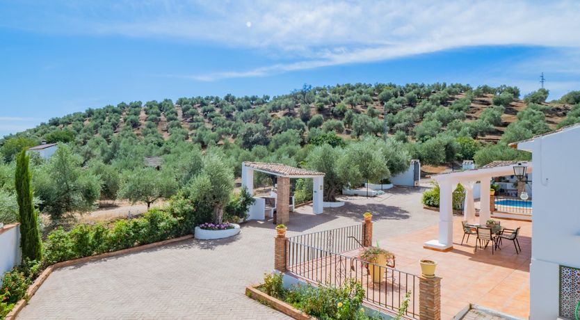 Photo of Olive Echoes