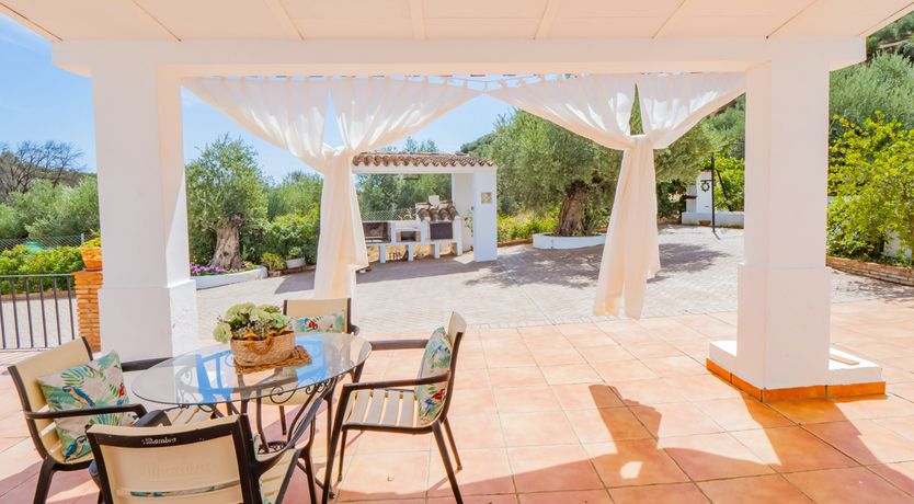 Photo of Olive Echoes