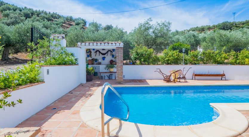 Photo of Olive Echoes