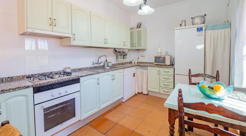 Photo of Olive Echoes