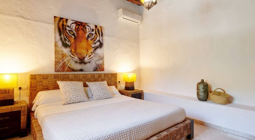 Photo of The Balearic Heart