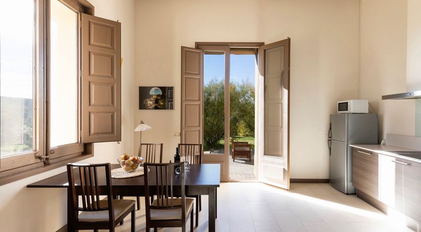 Photo of Weaver's Broom