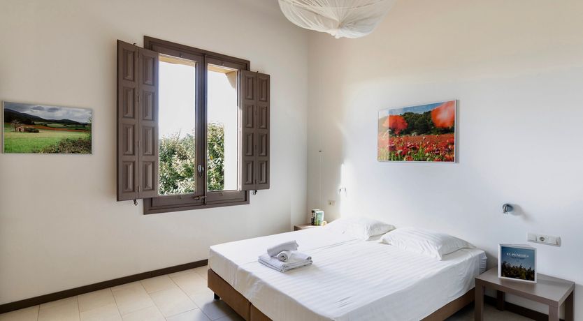 Photo of Weaver's Broom