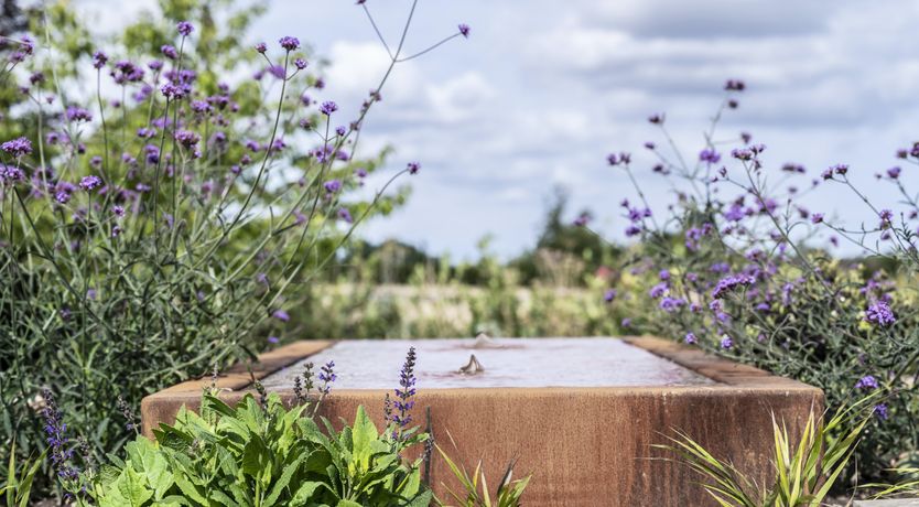 Photo of The Coast Club