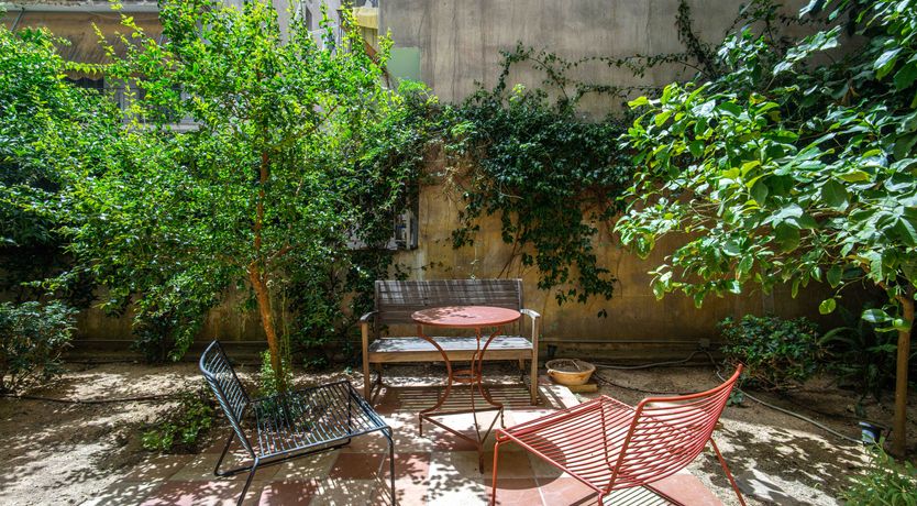 Photo of My Greek Garden