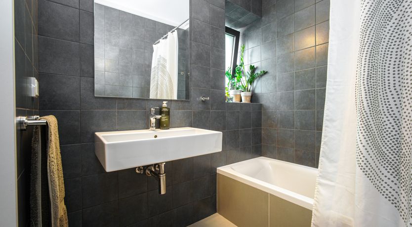 Photo of My Greek Garden