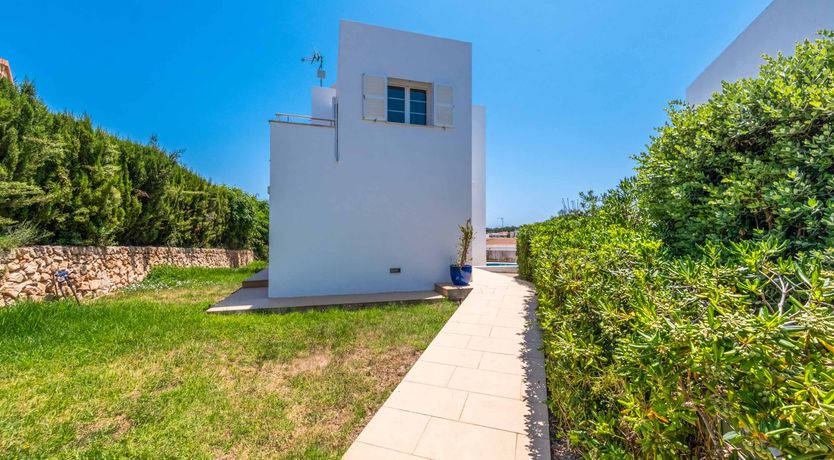 Photo of Vibrant Shore