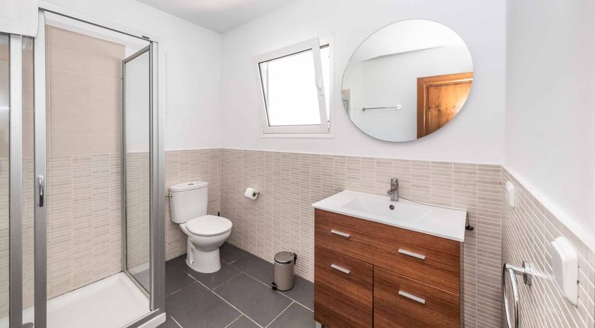 Photo of Vibrant Shore