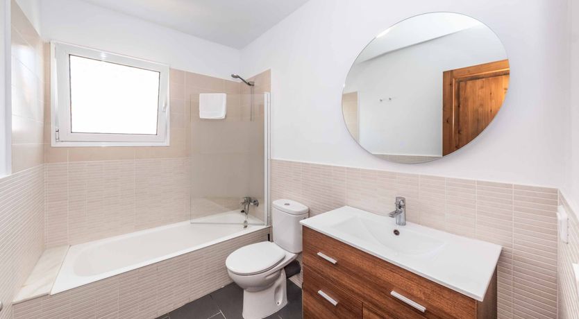 Photo of Vibrant Shore