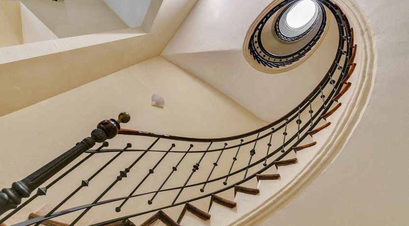 Photo of Palma Blanco