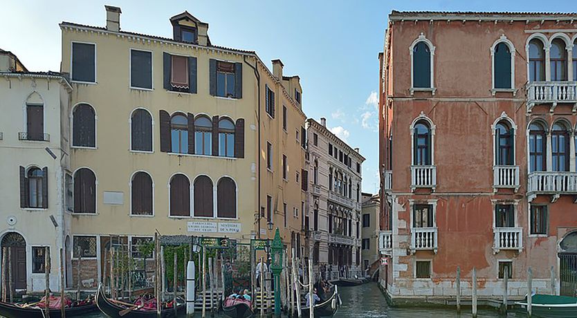 Photo of The Venetian Flower