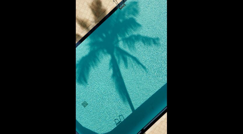 Photo of The Charm of Chloraka