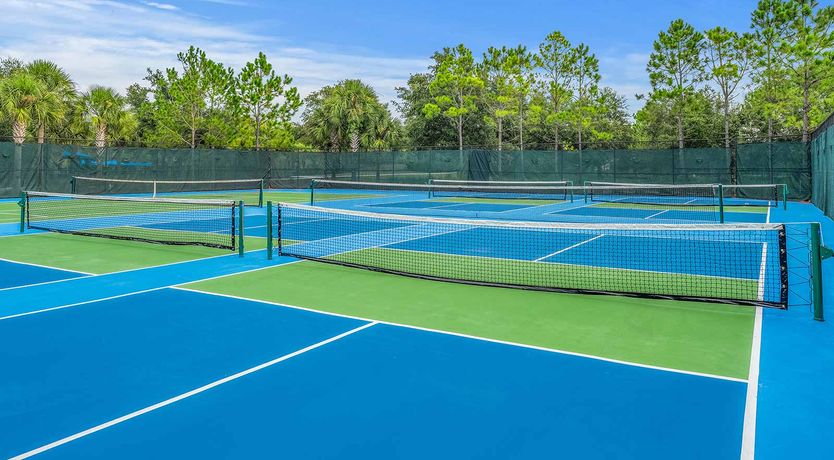 Photo of The Princess Paradise