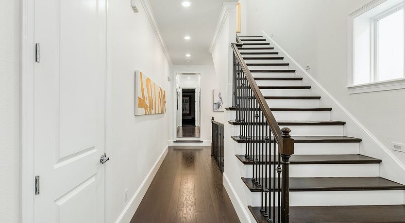 Photo of A Disney Mania