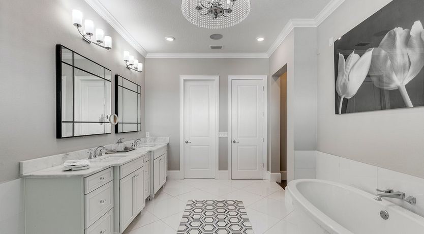 Photo of A Disney Mania