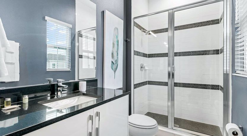 Photo of Sunshine on the Oleanders