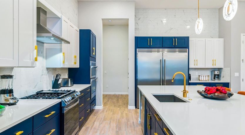 Photo of Sunshine on the Oleanders