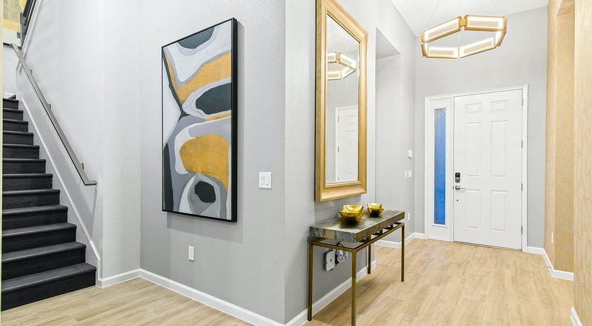 Photo of Sunshine on the Oleanders