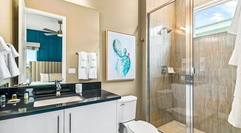 Photo of Sunshine on the Oleanders